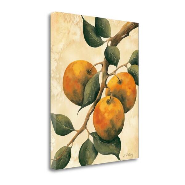 Italian Harvest - Oranges By Doris Allison, Gallery Wrap Canvas ...