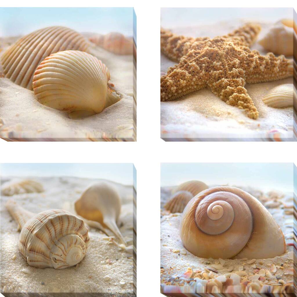 Beachy Shell I, II, III, and IV by Donna Geissler 4-piece Gallery-Wrapped Canvas Giclee Art Set