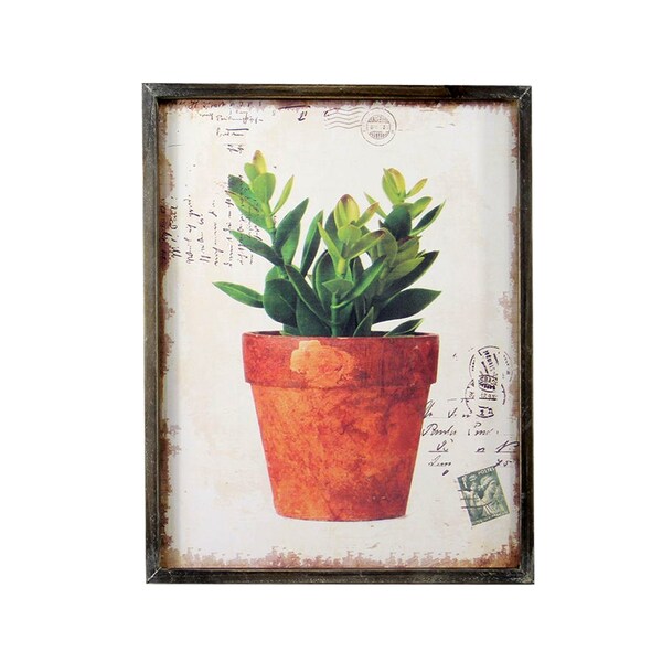 Potted Green
