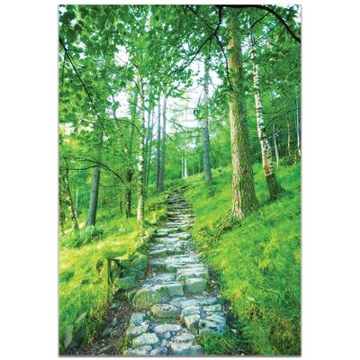 Meirav Levy 'Cobblestone Path' 22in x 32in Landscape Photography on Plexiglass - Multi-Color
