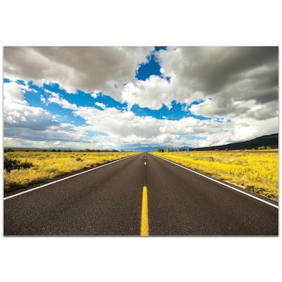 Meirav Levy 'Road Trip' 32in x 22in Americana Wall Art on Plexiglass - Multi-Color