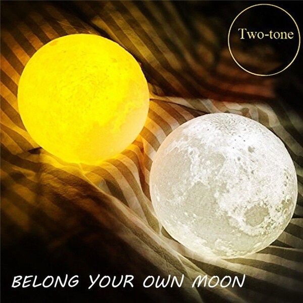 moon light kids