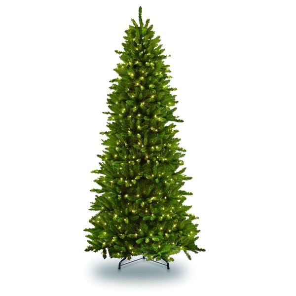 Puleo International 10 Ft Pre Lit Slim Fraser Fir Artificial Christmas Tree 900 UL Listed Puleo International 10 Ft Pre Lit Slim Fraser Fir Artificial Christmas Tree 900 UL Listed