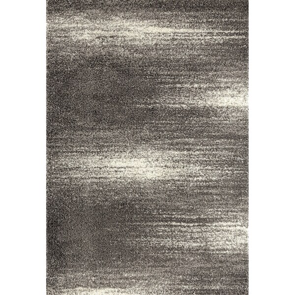 Contemporary Ombre Shag Area Rug - 7'10" x 10'