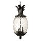 acclaim lighting lanai collection