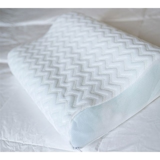 Contour pillow bed 2024 bath and beyond