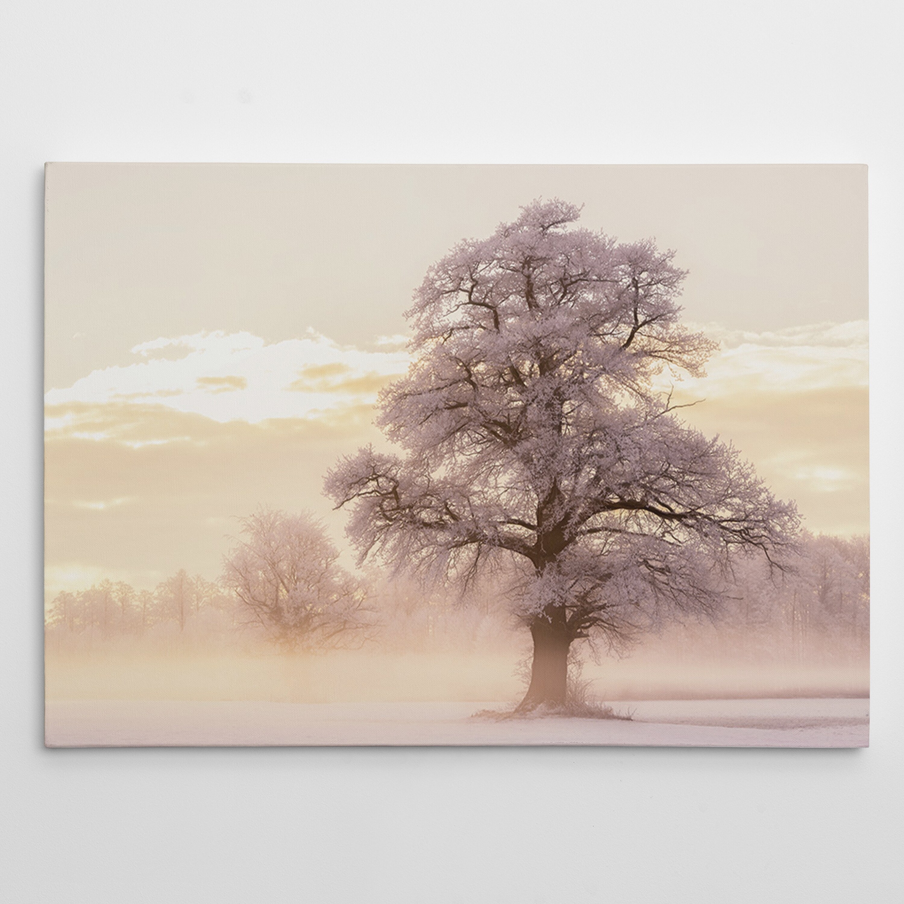 Winter Glow - Gallery Wrapped Canvas  Small