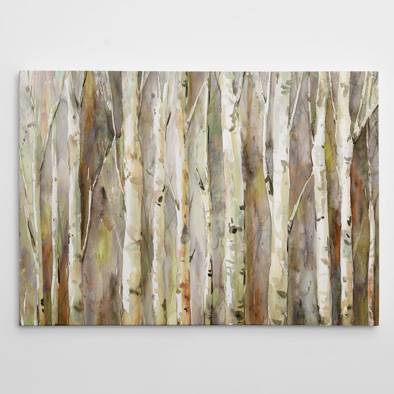 Birch Path - Gallery Wrapped Canvas
