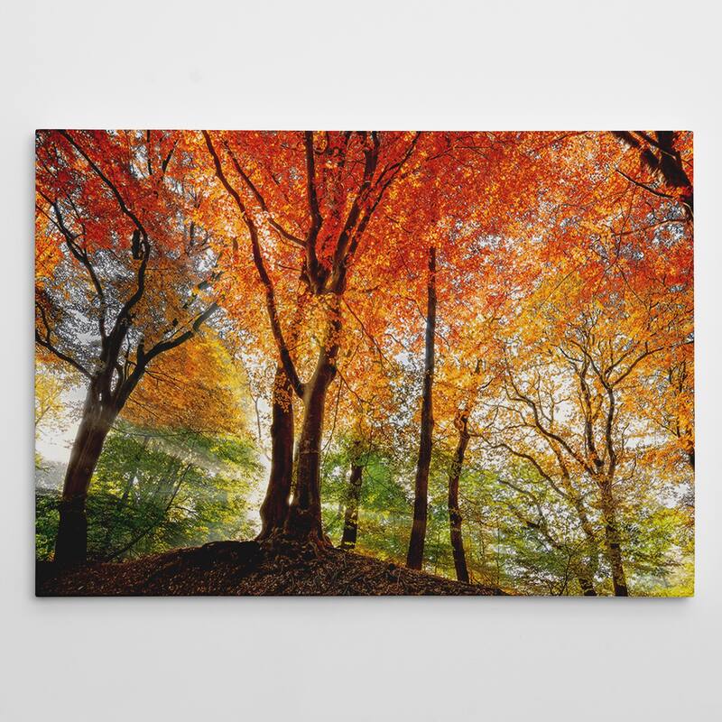 �Prism of Light - Gallery Wrapped Canvas
