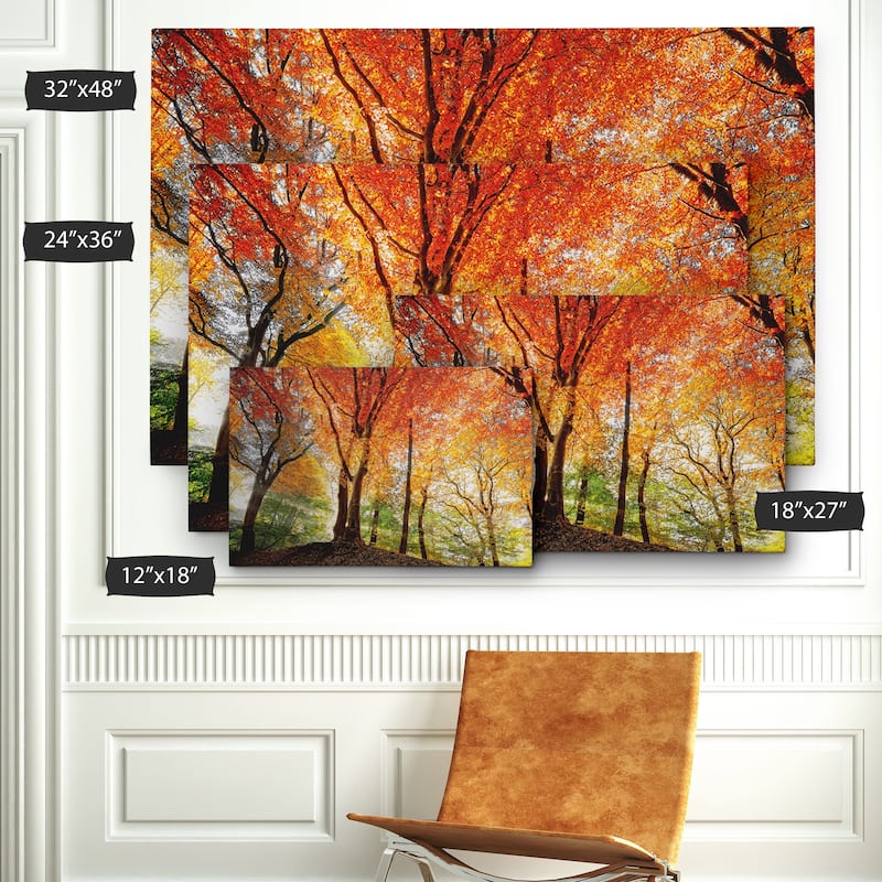 �Prism of Light - Gallery Wrapped Canvas