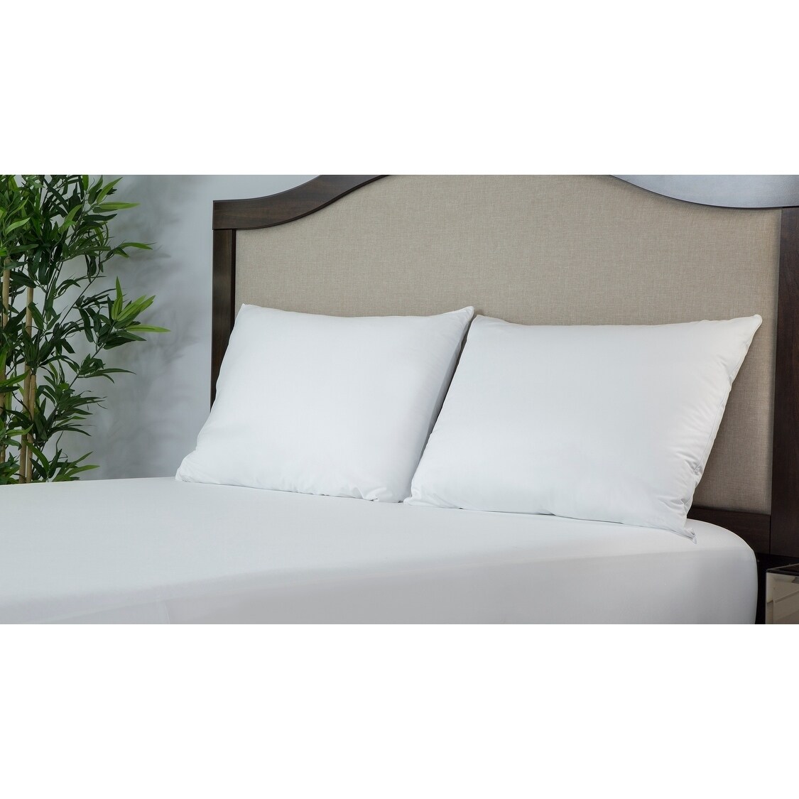 Shop Protect A Bed Basic Queen Smooth Waterproof Pillow Protector