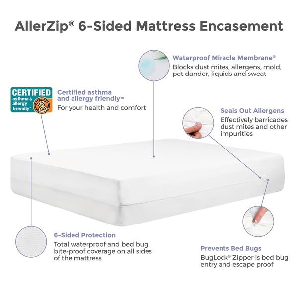Shop Protect A Bed Allerzip Smooth Queen 6 Sofa Bed Mattress