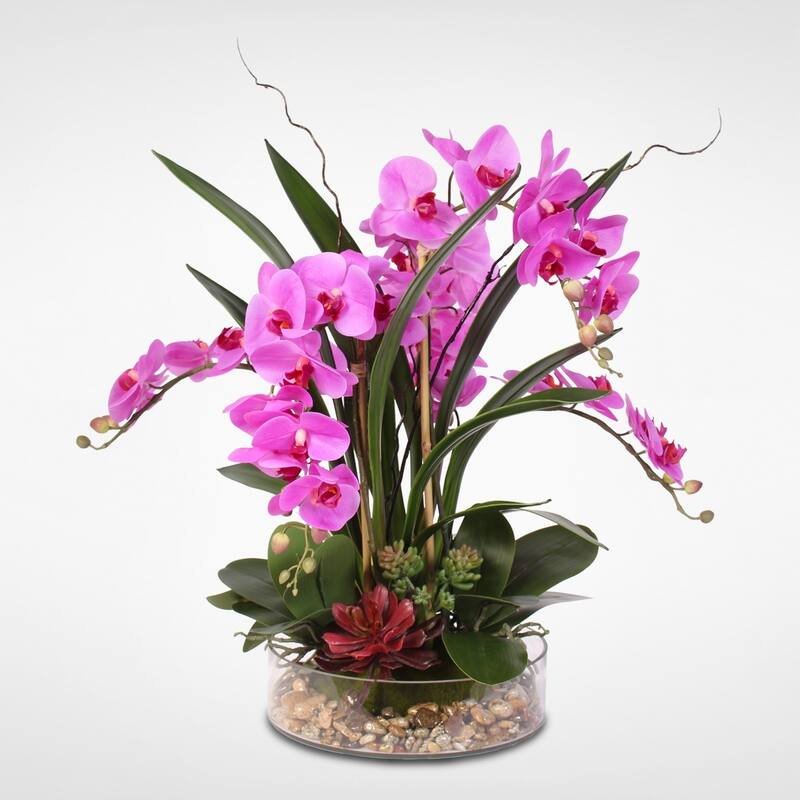 Real Touch Purple Phalaenopsis Orchid & Succulents in a Glass Pot