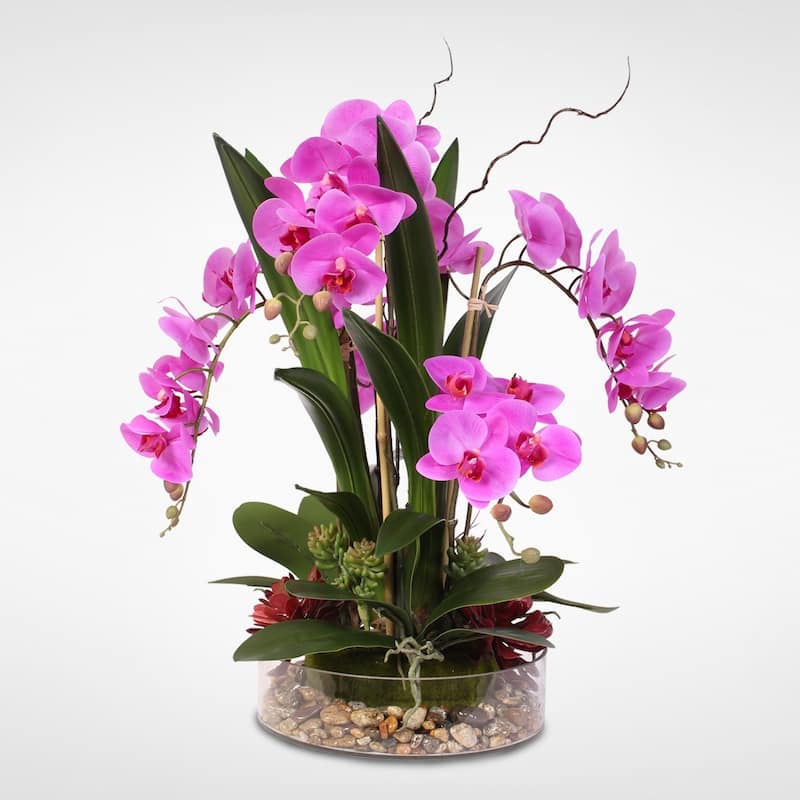 Real Touch Purple Phalaenopsis Orchid & Succulents in a Glass Pot