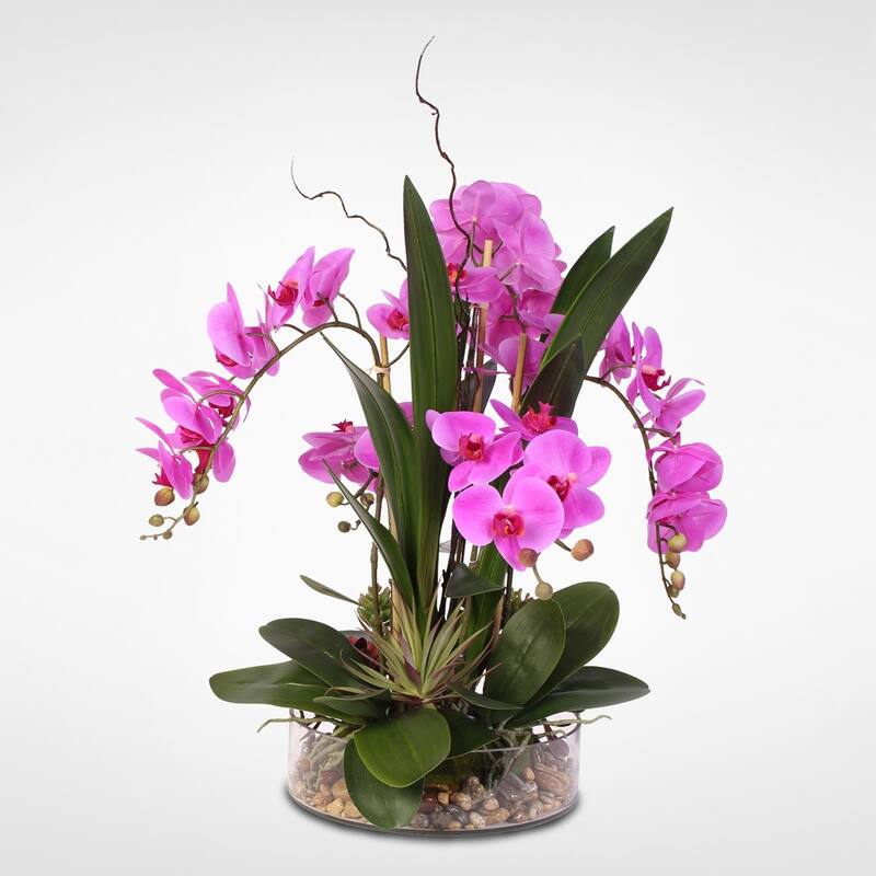 Real Touch Purple Phalaenopsis Orchid & Succulents in a Glass Pot
