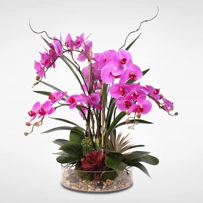Real Touch Purple Phalaenopsis Orchid & Succulents in a Glass Pot