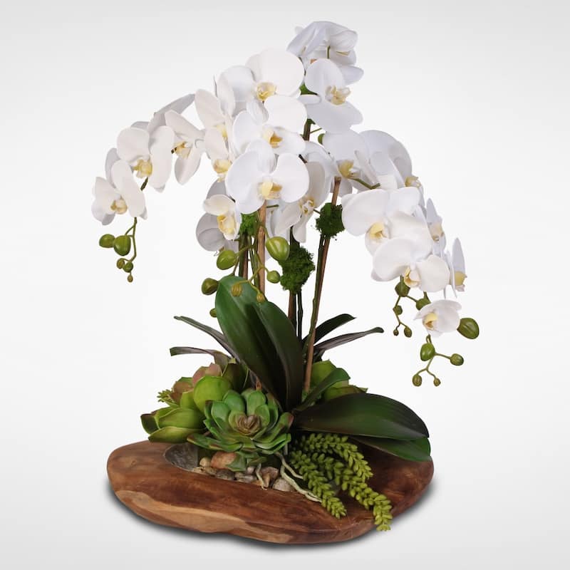 Real Touch 6-Stem Phalaenopsis Orchids - White
