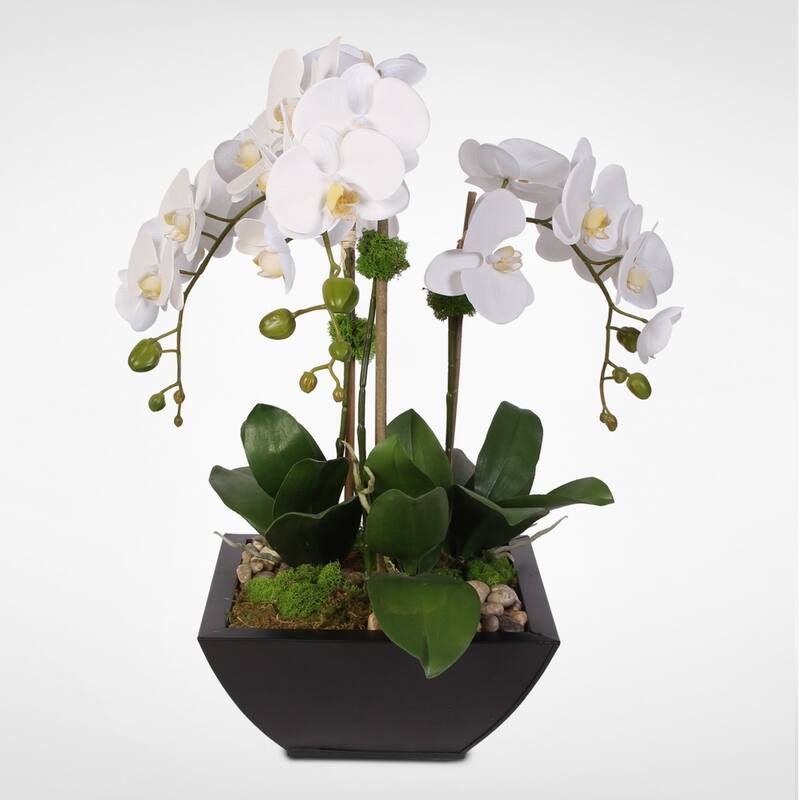 Real Touch White Phalaenopsis Orchid & Succulents in a Metal Pot