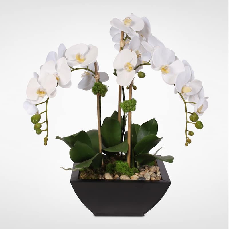 Real Touch White Phalaenopsis Orchid & Succulents in a Metal Pot
