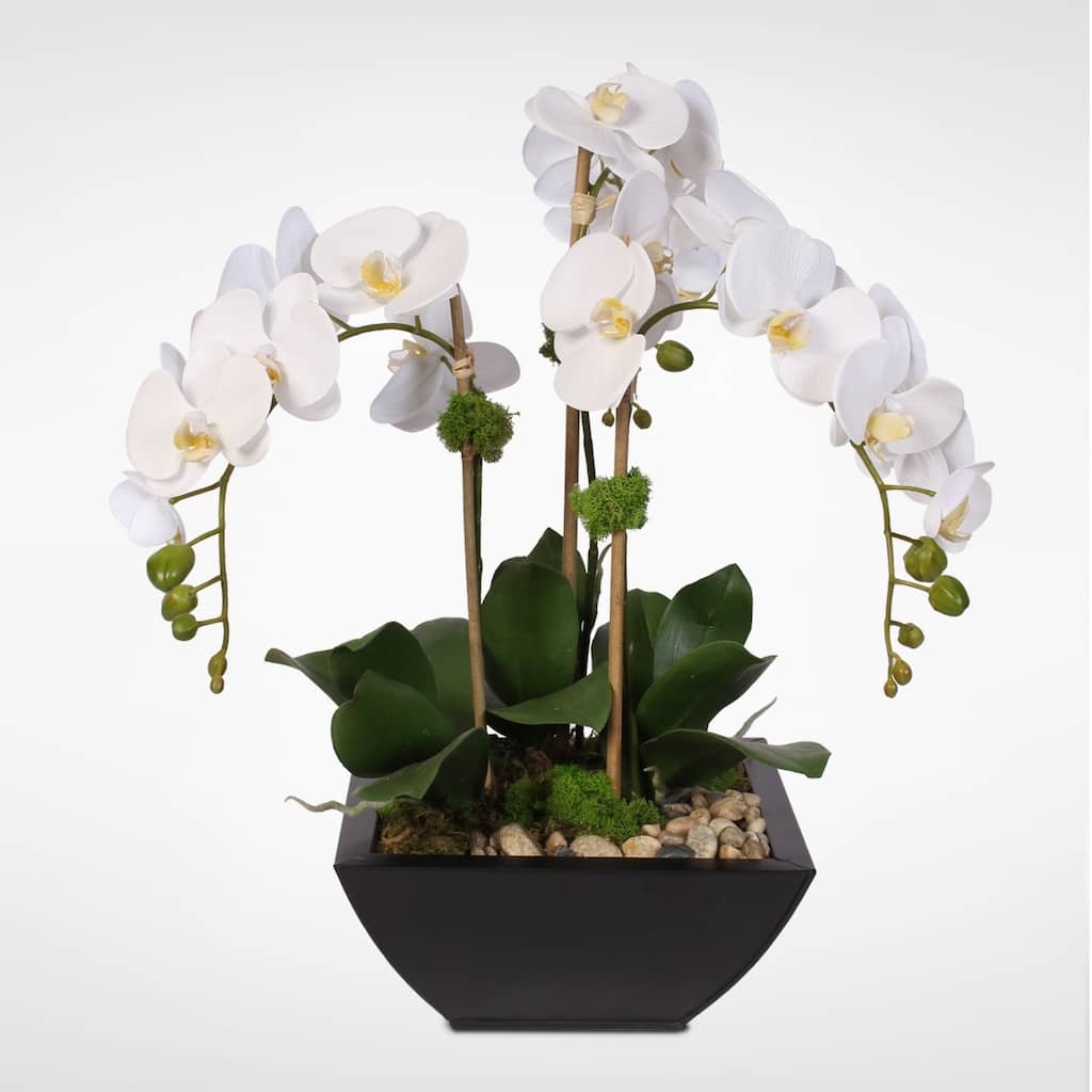 Real Touch White Phalaenopsis Orchid & Succulents in a Metal Pot