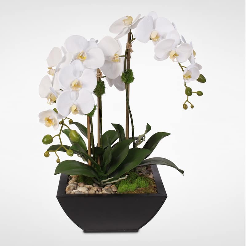 Real Touch White Phalaenopsis Orchid & Succulents in a Metal Pot