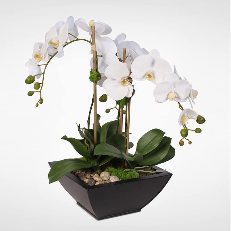 Real Touch White Phalaenopsis Orchid & Succulents in a Metal Pot