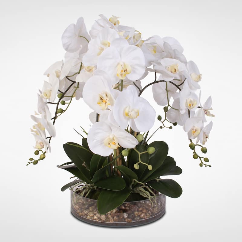 White Real Touch Phalaenopsis Orchid