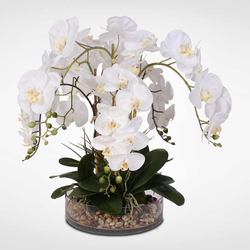 White Real Touch Phalaenopsis Orchid