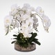 preview thumbnail 1 of 2, White Real Touch Phalaenopsis Orchid