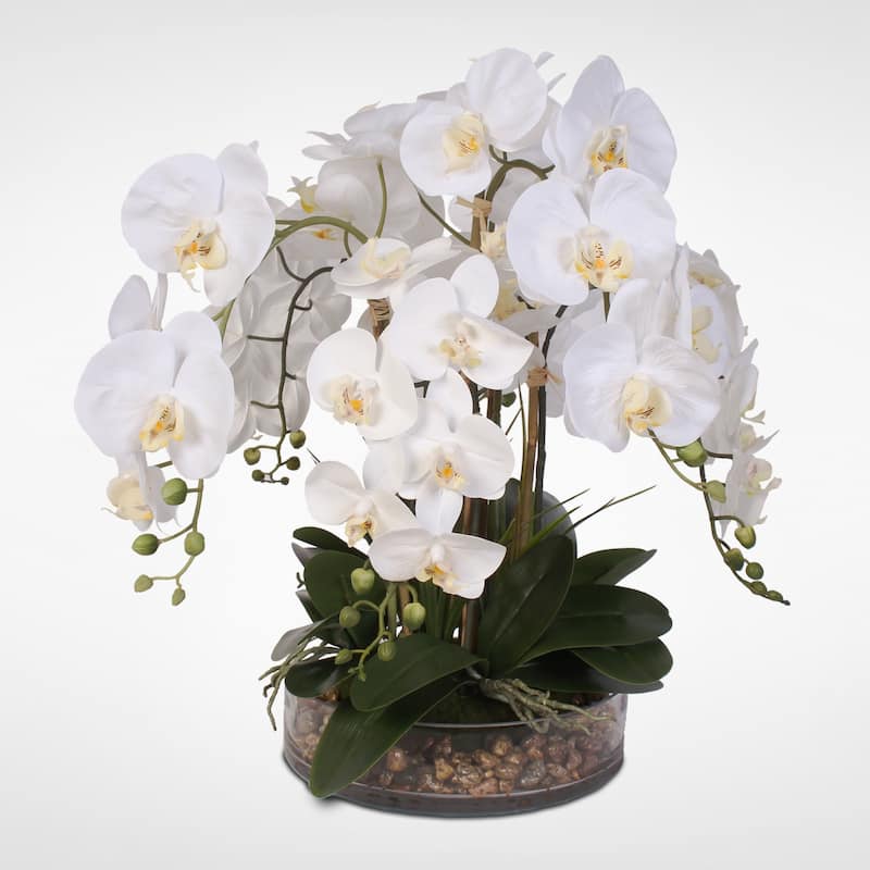 White Real Touch Phalaenopsis Orchid