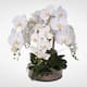 White Real Touch Phalaenopsis Orchid