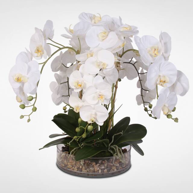 White Real Touch Phalaenopsis Orchid