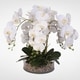 preview thumbnail 3 of 2, White Real Touch Phalaenopsis Orchid