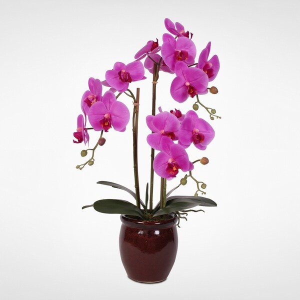 Real Touch Phalaenopsis Purple Orchids in a Dark Red Ceramic Vase ...