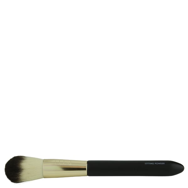 powder brush price