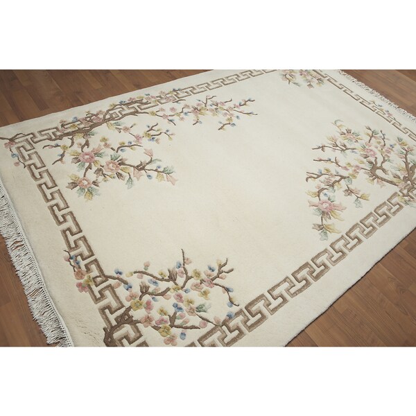 asian inspired area rugs Amatuer fetish porn homemade