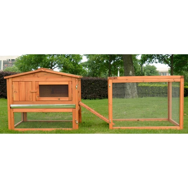 Guinea Pig Fencing