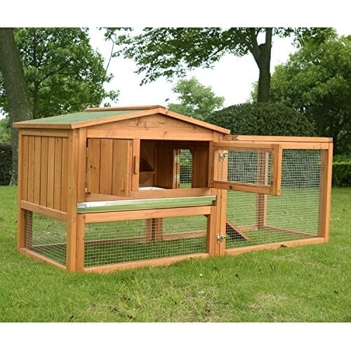 outdoor guinea pig cage