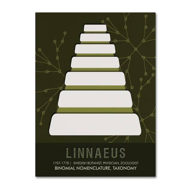 Studio Grafiikka 'Linnaeus' Canvas Art - Bed Bath & Beyond - 18045279
