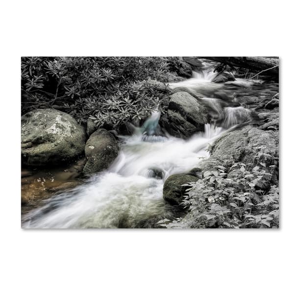 Bob Rouse 'Roaring Fork2 Bw' Canvas Art - Bed Bath & Beyond - 18048270