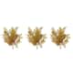 Option Gold/Rust