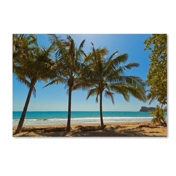 Robert Harding Picture Library 'Palm Trees 2' Canvas Art - Overstock ...