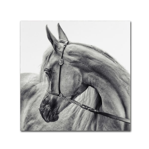 Piet Flour 'The Arabian Horse' Canvas Art - Overstock - 18055335