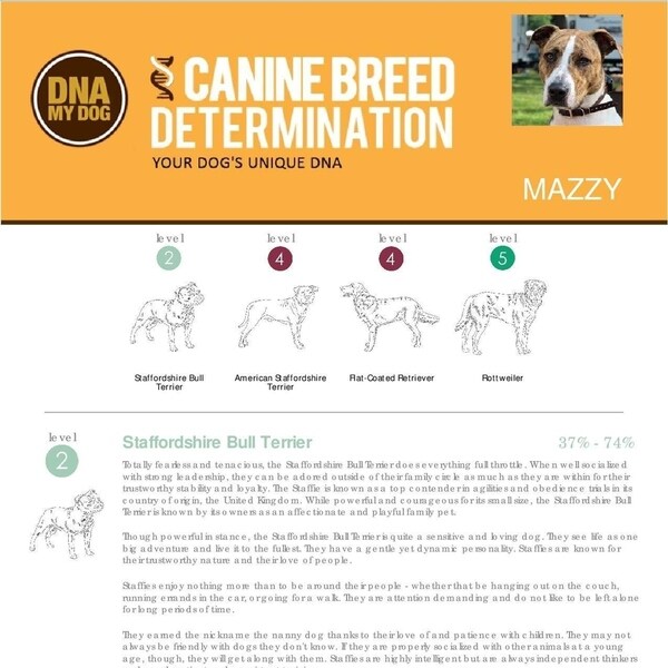 dna my dog breed id test kit