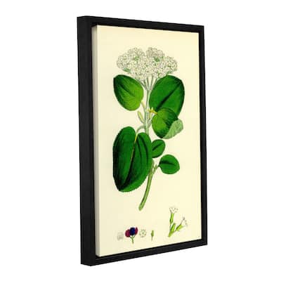 Bridgeman Lantana Wayfaring Tree, Gallery Wrapped Floater-framed Canvas