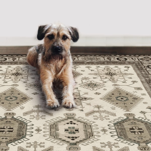 Shop Ruggable Washable Indoor/ Outdoor Stain Resistant Pet Rug Noor