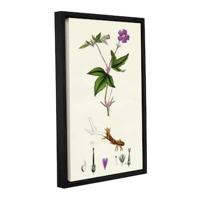 Bridgeman Geranium nodosum Knotty, Gallery Wrapped Floater-framed Canvas