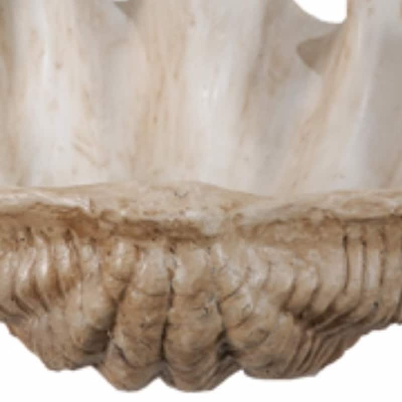 Medium Clam Shell Accent, White