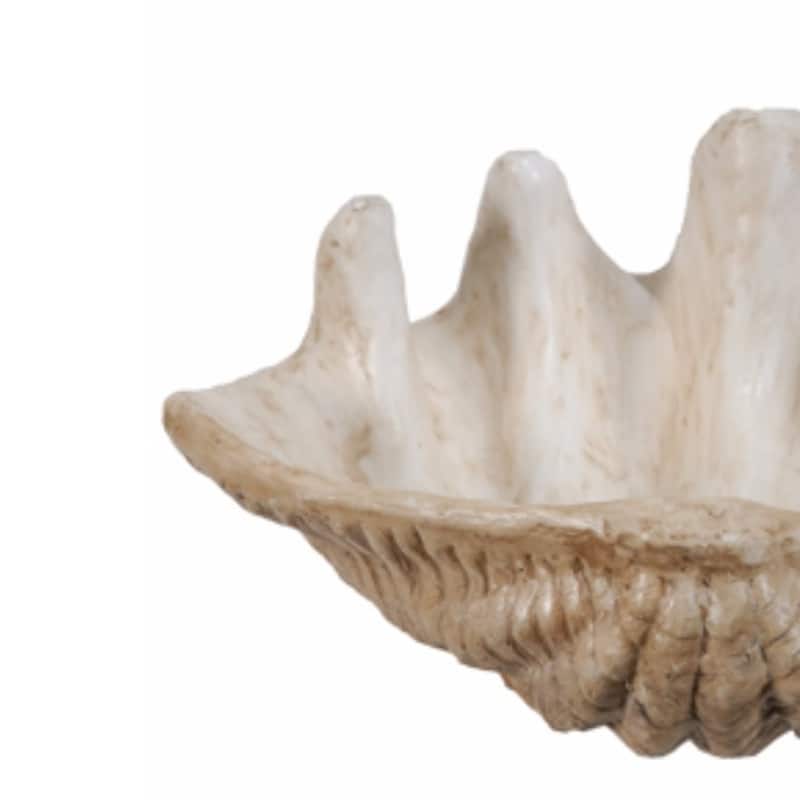 Medium Clam Shell Accent, White