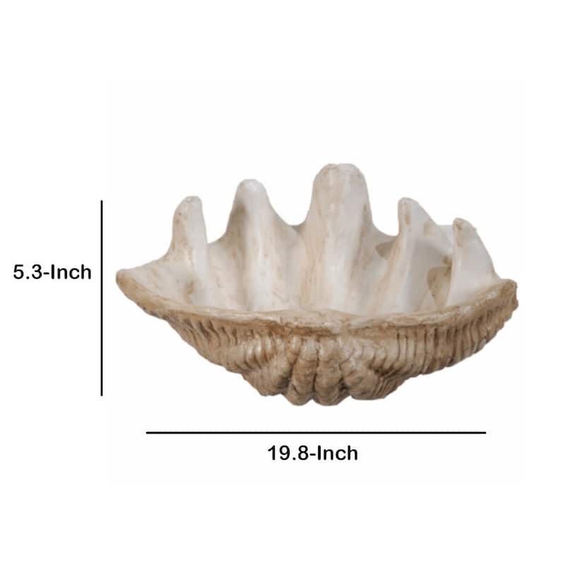 Medium Clam Shell Accent, White